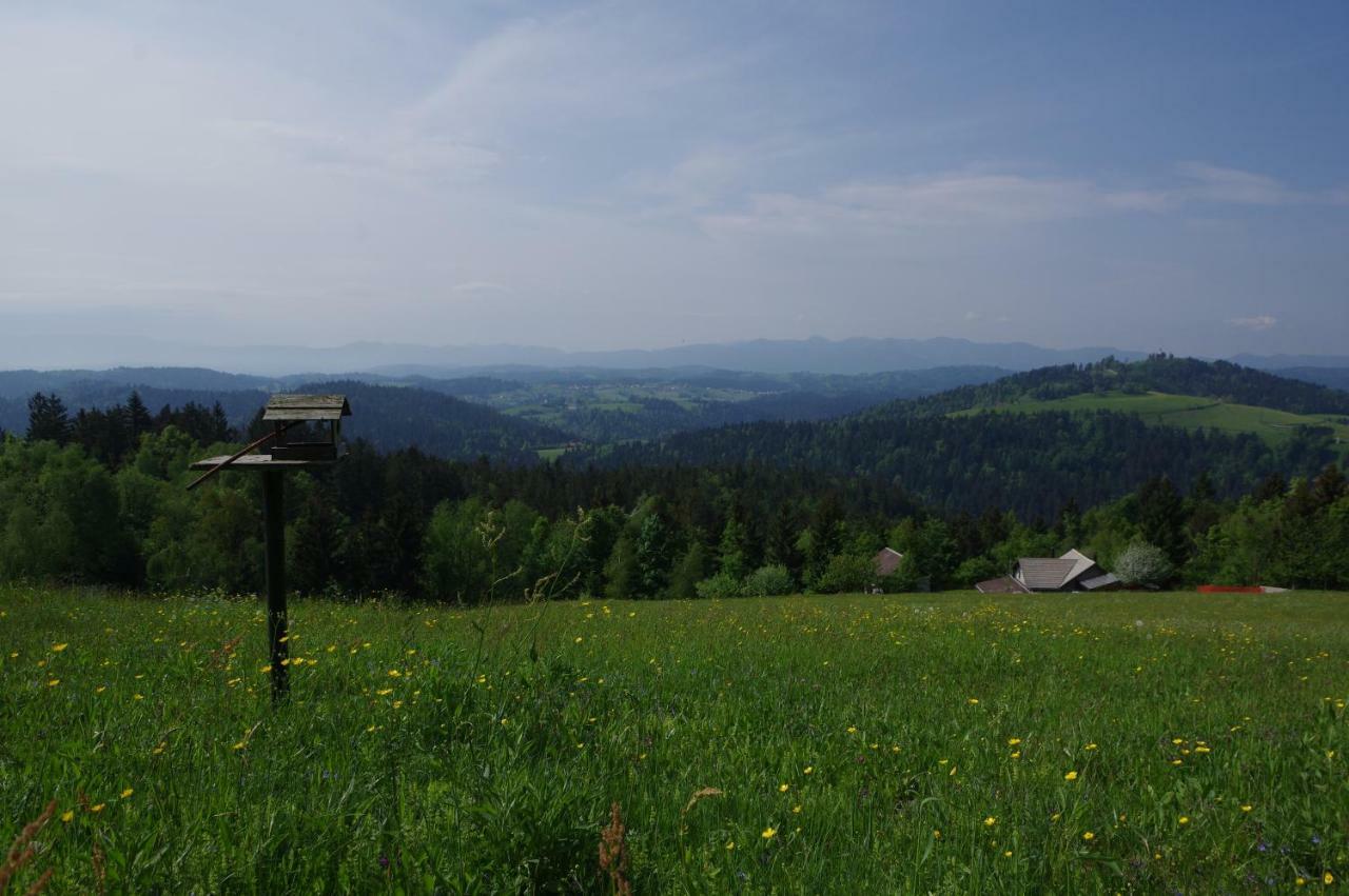Holiday Home Forest Peace, Lavrovec Hlevni Vrh Exterior photo